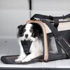 Kurgo Dog Travel Bag "Wander Carrier" Black. Orange and Sand