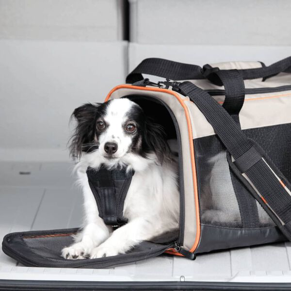 Kurgo Dog Travel Bag "Wander Carrier" Black. Orange and Sand