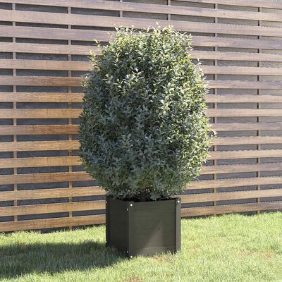 vidaXL Garden Planter Grey 40x40x40 cm Solid Pinewood