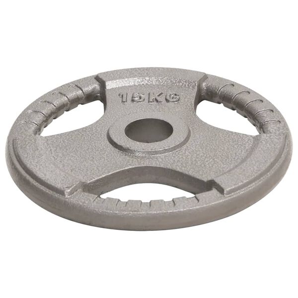 vidaXL Olympic Weight Plates 2 pcs 30 kg Cast Iron