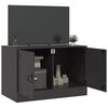vidaXL TV Cabinet Black 67x39x44 cm Steel