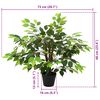 Product Thumbnail Image 6 of 6