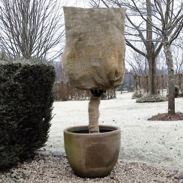 Nature Winter Jute Cover 230 g/m² Natural 0.75x1 m