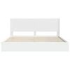 Product Thumbnail Image 6 of 11