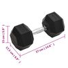 vidaXL Dumbbell 22.5 kg Cast Iron