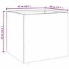 Product Thumbnail Image 11 of 11