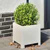 Product Thumbnail Image 2 of 10