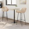 vidaXL Bar Chair 2 pcs Natural 55 x 52 x 105 cm Rattan and Iron