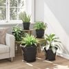 Product Thumbnail Image 4 of 10