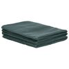 vidaXL Tent Carpet 300x400 cm Green