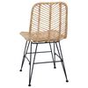 vidaXL Dining Chair 2 pcs Natural 44 x 47 x 85 cm Rattan and Iron