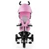 Kinderkraft Tricycle ASTON Pink