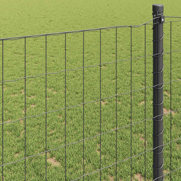 vidaXL Euro Fence Grey 0.6 x 50 m PVC-coated iron