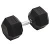vidaXL Dumbbell 30 kg Cast Iron