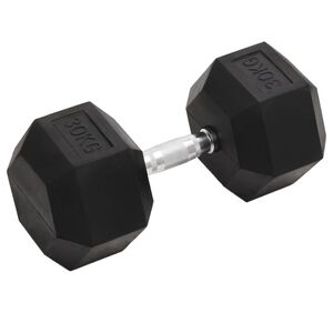 vidaXL Dumbbell 30 kg Cast Iron
