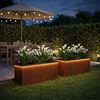 Product Thumbnail Image 2 of 17