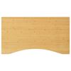 vidaXL Desk Top 100x60x2,5 cm Bamboo