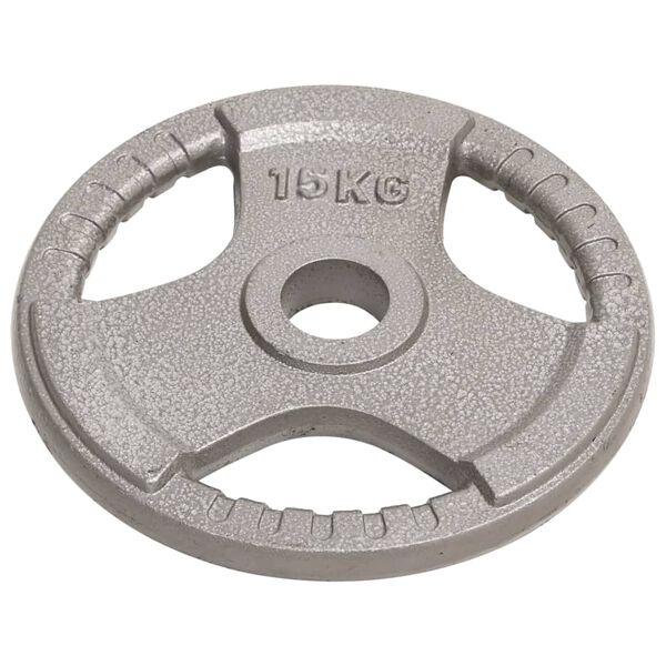 vidaXL Olympic Weight Plates 2 pcs 30 kg Cast Iron