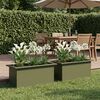 Product Thumbnail Image 3 of 13