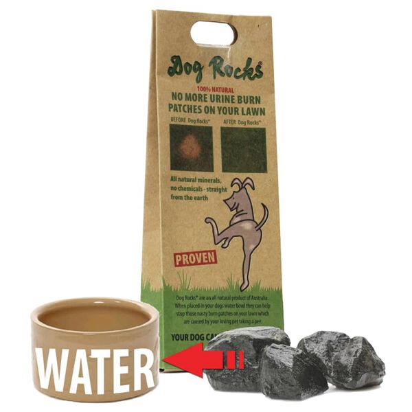 Dog Rocks Anti-Urine Stains Rocks for Dogs