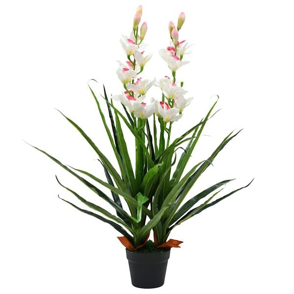 Showing Product Image 1 of 2