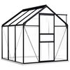 vidaXL Greenhouse | Anthracite and Transparent | Aluminium and Polycarbonate