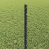 Product Thumbnail Image 4 of 13