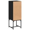 vidaXL Side Cabinet with Glass Doors Black 35x37x100 cm