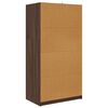 vidaXL Cabinet with Door Brown Oak 79.5 x 49 x 156 cm Engineered Wood