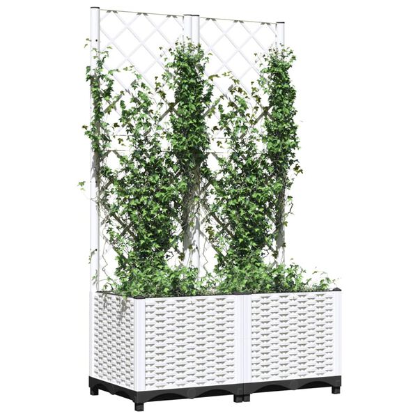 Showing Product Image 3 of 8