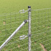 Product Thumbnail Image 3 of 4