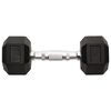 vidaXL Dumbbells 2 pcs 10 kg Total Cast Iron