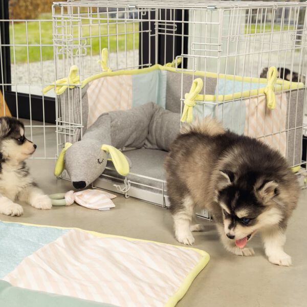 Beeztees Dog Crate 62x44x49 cm Grey