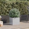 Product Thumbnail Image 3 of 12