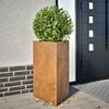 vidaXL Garden Planters 2 pcs Triangular 50x43x75 cm Weathering Steel