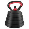 vidaXL 4-in-1 Dumbbell Set Black and Red 121 x 19.5 x 19.5 cm