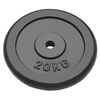 vidaXL Weight Plates 2 pcs 2x20 kg Cast Iron