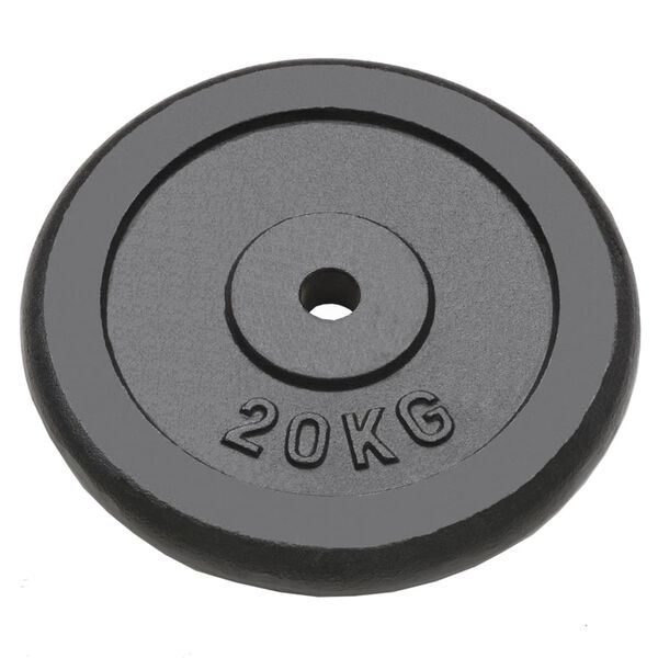 vidaXL Weight Plates 2 pcs 2x20 kg Cast Iron
