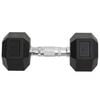 vidaXL Dumbbells 2 pcs 16 kg Total Cast Iron