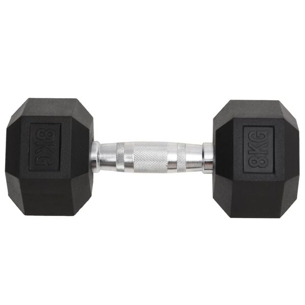 vidaXL Dumbbells 2 pcs 16 kg Total Cast Iron