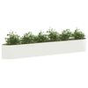 Product Thumbnail Image 3 of 8