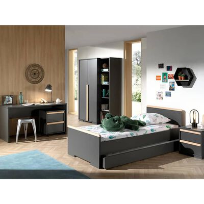 Vipack Mobile Cabinet London 2-drawer Wood Anthracite