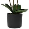 Product Thumbnail Image 3 of 5