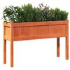 vidaXL Garden Planter with Legs Wax Brown 110x31x70 cm Solid Wood Pine