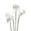 Emerald Artificial Phalaenopsis with Moss White 90 cm 20.355