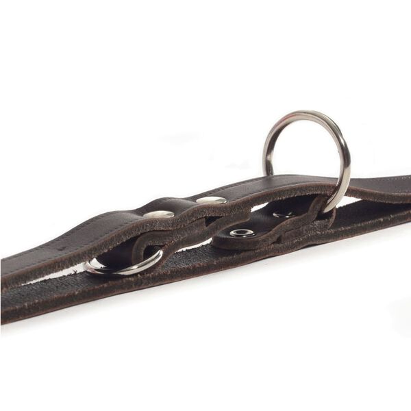 Beeztees Training Leash Leather Brown 200x1.2 cm 736401