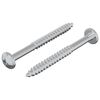 vidaXL Wood Screw 2 pcs Silver 9.8 x 53 mm Steel