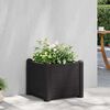 Product Thumbnail Image 2 of 6