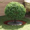 Product Thumbnail Image 2 of 10