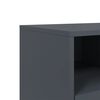 vidaXL TV Cabinet Anthracite 68x39x43.5 cm Steel